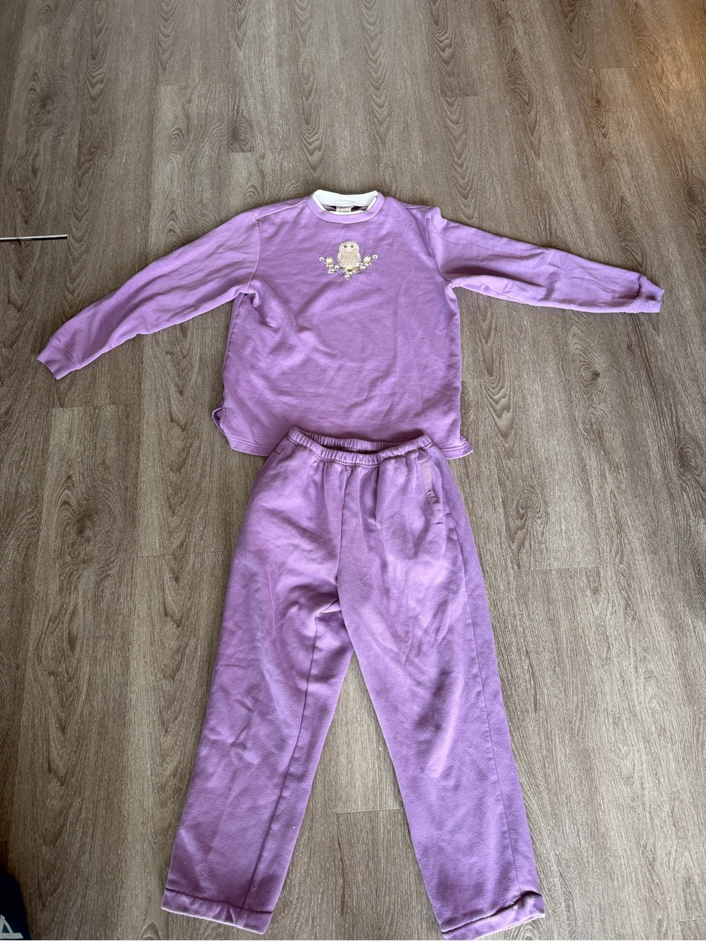 Blair Women's Long-Sleeved Sweatshirt Size S Purple Embroidered Owl W/ Pants XS